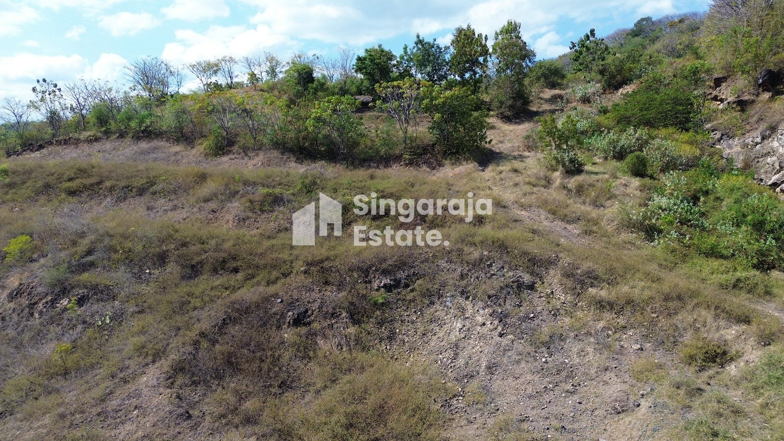 Tanah 10 Hektar Dekat Pantai di Kawasan Seririt - Image 7